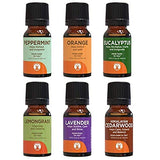 GuruNanda Essential Oils Set