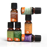 GuruNanda Essential Oils Set